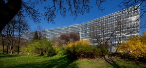 Garden Eleven obrázek 2