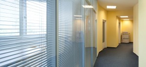 Garden Eleven obrázek 5