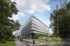 myhive PALMOVKA obrázek 4