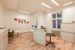 Politických vězňů 10 (Newton House) obrázek 4